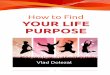 How to Find Your Life Purpose - vladdolezal.comvladdolezal.com/blog/files/How to Find Your Life Purpose.pdf1 How to Find Your Life Purpose Vld oeal ... want to lie around”, but you