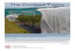 The Produce Pages - Cornell Universityrvpadmin.cce.cornell.edu/pdf/enych_newsletter/pdf147_pdf.pdf · Serving the fruit and vegetable growers of Eastern New York The Produce Pages