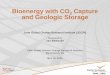 Bioenergy with CO Capture and Geologic Storage - EPRIeea.epri.com/pdf/epri-energy-and-climate-change-research-seminar/... · 2 Capture and Geologic Storage EPRI Global Climate Change