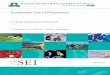 Sustainable Use of Phosphorus - European Commissionec.europa.eu/environment/natres/pdf/phosphorus/sustainable_use... · Sustainable Use of Phosphorus ... 3.5.4 Impacts during organic