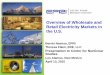 Overview of Wholesale and Retail Electricity Markets in ...cnls.lanl.gov/~chertkov/SmarterGrids/Talks/NeenanFlaim.pdf · Overview of Wholesale and Retail Electricity Markets in the