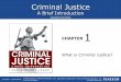 Criminal Justice - Columbia Southern University · Criminal Justice: A Brief Introduction, 11e Frank Schmalleger Stages of Case Processing •Arraignment Hearing before the court