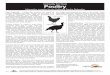Commodity Fact Sheet Poultrycpif.org/wp-content/uploads/2017/06/PoultryFINAL5810.2017.pdfIn 2015, California turkey producers ... hi ct Activity Sheet eveloe y liori outio or ... It