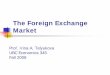 The Foreign Exchange Market - Faculty of Artsfaculty.arts.ubc.ca/itelyukova/16 Foreign Exchange.pdf · 2 Outline The foreign exchange market is the market where assets denominated