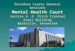 Nashville Davidson County General Sessions Mental Health …aja.ncsc.dni.us/.../SpeakerMaterials/David… · PPT file · Web view · 2012-07-06Davidson County General Sessions Mental