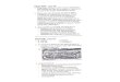 Workbook Answers p 84 85 86 88 89 90 92 - IBBIOSACCONEAnswers+p... · Fungal Cells (page 84) 1. ... Streptomyces mold: production of antibiotics. ... Workbook Answers p 84 85 86 88