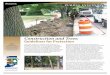 Construction and Trees: Guidelines for Protection · Construction and Trees: Guidelines for Protection ... especially equipment operators. Tree preservation is ... Construction and