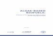 0905 FAO Review Paper on Algae-based Biofuels - FINAL€¦ · recommended the preparation of this review paper on algae-based biofuels as a ... This review paper provides a joint