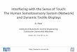 Interfacing with the Sense of Touch: The Somatosensory ... haptic collaboration.pdf · Interfacing with the Sense of Touch: The ... and Dynamic Tactile Displays. ... • Mounting