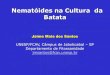 Nematóides na Cultura da Batata - …€¦ · Nematóides-chave na cultura da Batata no Brasil Meloidogyne javanica Meloidogyne incognita Meloidogyne arenaria Meloidogyne hapla Pratylenchus