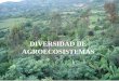DIVERSIDAD DE AGROECOSISTEMAS · Dado que el concepto de agroecosistema se fundamenta en el ... Plantaciones forestales ... debido al tamaño de la finca, a la disponibilidad de recursos