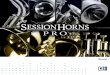 Session Horns Pro Manual English - Audiofanzinemedias.audiofanzine.com/files/session-horns-pro-manual-english... · SESSION HORNS PRO features authentic phrases and sound settings