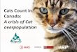 Cats Count in Canada: A crisis of Cat overpopulation cat overpopulation?” pertaining to animal control collapsed into four categories. Figure 9: “Would you say that the following