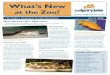 What’s New - Calgary Zoo · What’s New at the Zoo? The Calgary oological Society ewsletter vine y Chua nside this issue with the resident 2 Conservatory lans 4 Veterinary 