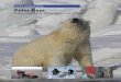 Polar Bear Conservation Management Plan on 20 … Polar Bear Conservation Management Plan Acknowledgments USFWS gratefully acknowledges the commitment and efforts of the following