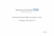 Norfolk & Suffolk NHS Foundation Trust Strategic …nsft.nhs.uk Tel. no. for contact ... • The Strategic Plan is an accurate reflection of the current shared vision and strategy