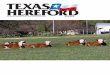 The Official Publication of the Texas Hereford Association ... TX HFD Apr lo-res FINAL.pdf · The Official Publication of the Texas Hereford ... REA 0.45 (.19); MARB 0 ... CEZ$ 15;