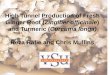 ginger-day-presentation-2016 - VSU Agriculture vsuag.net · High Tunnel Production of Fresh Ginger Root (Zingiber officinale) and Turmeric (Curcuma longa)Reza Rafie and Chris Mullins