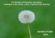 The Benefice of Barnwell, Hemington, Luddington in the ... · The Benefice of Barnwell, Hemington, Luddington in the Brook, Lutton, Polebrook and Thurning Benefice Profile 2016 