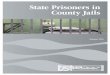 State Prisoners in County Jails - NACo | National …naco.org/sites/default/files/documents/State Prisoners in County... · State Prisoners in County Jails. 2 State Prisioners in