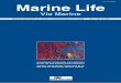 I.S.S.N. 1168-3430 Marine Life · Marine Life Vie Marine ... reviews, short reports and technical notes. ... manuscrits sont soumis à un comité de lecture international