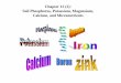 Chapter 12 (2): Soil Phosphorus, Potassium, Magnesium ...wxcheng/envs161/Lecture12/ch12_2_PK_Mic… · ... (2): Soil Phosphorus, Potassium, Magnesium, Calcium, and Micronutrients
