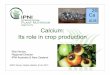 Calcium: Its role in crop production - IPNIanz.ipni.net/ipniweb/region/anz.nsf/0... · Calcium: Its role in crop production ... physical and biological fertility of ... • What is