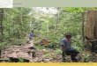 Papua New Guinea - ACIARaciar.gov.au/files/node/627/Partners 4 PNG benefits.pdf · Oils from indigenous trees promise a new source of cash income for Papua New Guinea’s remote villages