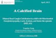 A Calcified Brain - Lieberman's eRadiologyeradiology.bidmc.harvard.edu/LearningLab/central/Yang.pdf · Bilateral Basal Ganglia Calcification in a child with Mitochondrial Encephalomyopathy,