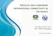 SATELLITE AND SUBMARINE INTERNATIONAL CONNECTIVITY IN THE ... · Moving to the Gb/s Era ! 1. ... • Small volumes keeps price high for satellite bandwidth for small islands operators