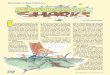 Animals in Sea History - Mystic Seaport · SEA HISTORY 147, SUMMER 2014 Animals in Sea History by Richard King 38 n Ernest Hemingway’s 1952 novella The Old Man and the Sea, a fisherman