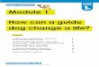 Module 1 How can a guide dog change a life?€¦ ·  · 2016-09-301.1 What does a guide dog do? - Lesson plan 3 Resource sheet - plan of a town 6 1.2 How are guide dogs trained?