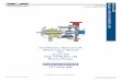 Newsletter 4 - American-Marsh Pumps Manual: 077-0236-000 ... RECOMMENDED PROCEDURE FOR BASE PLATE INSTALLATION & FINAL FIELD ALIGNMENT 11 ... Chlorimet 2 DC2 N7M Hastelloy® B …