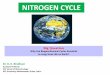 NITROGEN CYCLE - Wikispacesimtech.wikispaces.com/file/view/BGC-Cycle+&+Nitrogen+Cycle.pdfThe first process in the nitrogen cycle is… Nitrogen Fixation! ... Nitrosospira is an aquatic