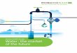 RobecoSAM Study Water: the market of the future · RobecoSAM Study Water: the market of the future 06/2015 RobecoSAM AG