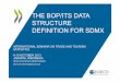THE BOP/ITS DATA STRUCTURE DEFINITION FOR SDMXunstats.un.org/unsd/trade/events/2013/jakarta/7e - OECD - overview... · THE BOP/ITS DATA STRUCTURE DEFINITION FOR SDMX. BOP DSD -Outline