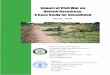 Impact of Civil War on Natural Resources: A Case … Impact of Civil War on Natural Resources: A Case Study for ... on the sustainable management of the ... and shrinkage of the natural
