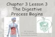 Chapter 3 Lesson 3 The Digestive Process Begins Homework Documents... · Chapter 3 Lesson 3 The Digestive Process Begins Ms. Schreurs 7th Grade Life Science ... Mechanical Digestion=