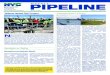 WEEKLY PIPELINE - City of New York · If you’ve still got questions, ... CALL (800) 897-9677 OR SEND A MESSAGE THROUGH PIPELINE. HELP IS ON THE WAY. * ... City waters for striped