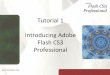 Tutorial 1 Introducing Adobe Flash CS3 Professionalstaff.uob.edu.bh/files/600435156_files/Tutorial_01.pdf · New Perspectives on Adobe Flash CS3 24. Grid Displayed on the Stage XP