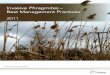 Invasive Phragmites - NVCA Documents/Phragmites control - best... · Introduction ... been identified and located farther west and north of ... The name Phragmites is derived from