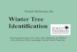 Winter ID pocket reference - CCFPD€¦ ·  · 2016-07-17Hickories Juglandaceae Carya sp. Shellbark Hickory Carya laciniosa Distinguishing Features • Leaf scars are alternate