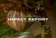 IMPACT REPORT - Endangered Species Chocolate – …chocolatebar.com/docs/doc_2016_Impact_Report.pdf · IMPACT REPORT 10% GIVEBACK PARTNERS ... The successes celebrated in this report