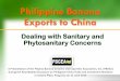 Philippine Banana Export to China - APPFIappfi.ph/images/2015/presentations/6_Pres_PBGEA_Philippine_Banan… · Philippine Banana Exports to China ... Milk & Cream Products 95.62