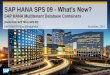 SAP HANA SPS 09 - What’s New? - Online Tutorials ( Books ...dbmanagement.info/Books/MIX/saphanasps09-multitenantdatabaseco… · •Ease of HW replacement / Avoidance of re-certification