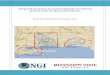 Integrated Ecosystem Assessment Initiative for Selected ...€¦ · ii Integrated Ecosystem Assessment Initiative for Selected Systems in the Northern Gulf of Mexico By Northern Gulf
