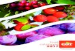 Fruit catalogue 2017 - COT International Fruit catalogue 2017 Patented variety. Propagation and distribution forbidden without Cot International permission. Reminder : the numbers