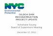 GILBOA DAM RECONSTRUCTION PROJECT … GILBOA DAM RECONSTRUCTION PROJECT Phase 1: Crest Gates Installation (CAT-359) Anticipated Completion: Spring 2011 Gate Equipment Fabricated &