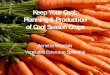 Keep Your Cool: Planning & Production of Cool …organics.utk.edu/pdf/KeepYourCool_Wszelaki.pdf4-6 months (celeriac) • Varieties: – Celery- Tango, Golden Self -Blanching – Celeriac-