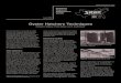Oyster Hatchery Techniques - eXtension Hatchery... · Oyster hatchery techniques are well ... covers the basics of oyster hatchery production based on information from ... sand (ppt)